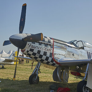 DSC05858.jpg