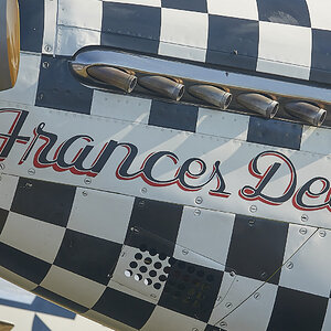 DSC05857.jpg