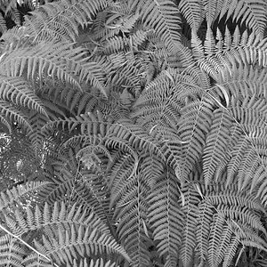 DSC_2314.JPG