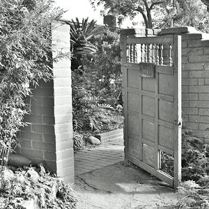 DSC_2301.JPG