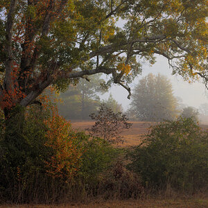 IMG_0280-social.jpg