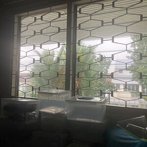 IMG_9188.jpeg