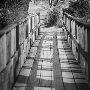 NIK_7059 final (1) B&W.jpg