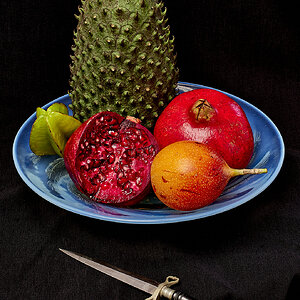 FruitsFS_final.jpg