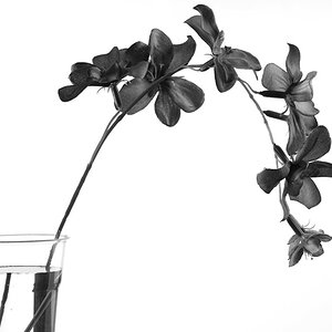 D8076333646C4D0FB2FEE8766D46AE05.jpg