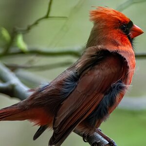 DSC_0229 (3)TOP_4_27_24.jpeg