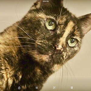 IMG_1626_Original.jpeg