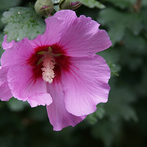 DSC03804_DxO.jpg