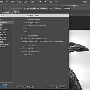 Screenshot 2023-04-07 at 10.32.29 AM.jpg