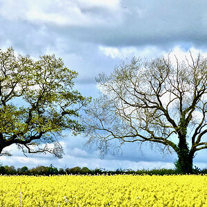 England - 1 of 1 (8).jpeg