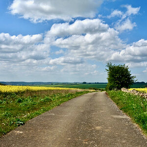 England - 1 of 1.jpeg