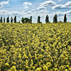 All Photos - 1 of 1.jpeg