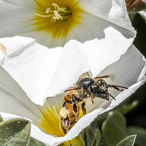 20230421-IMG_0048 Small 87-Enhanced-NR-EditCIC.jpg