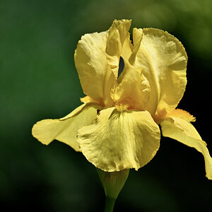 All Photos - 1 of 1 (7).jpeg