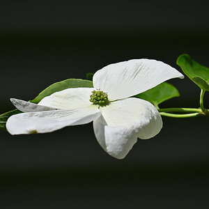 All Photos - 1 of 1 (6).jpeg