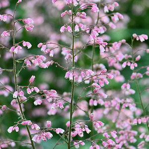 All Photos - 1 of 1 (4).jpeg