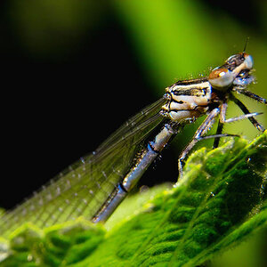 Sample 4.jpg