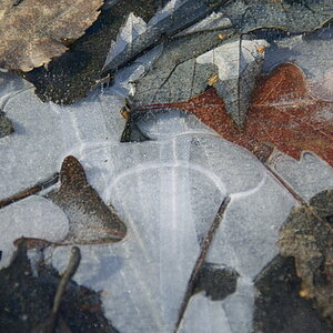 SDIM0019_640x480.jpg