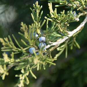 SDIM0060_640x480.jpg