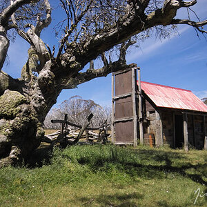Fitzgeralds Hut.jpg