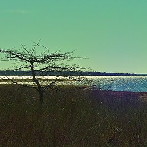 th_SDIM01223.JPG