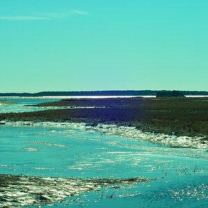 th_SDIM0135.jpg