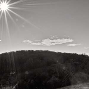 SDIM0440_BW.jpg