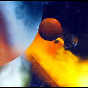 Engulf_Macro_100_4.jpg