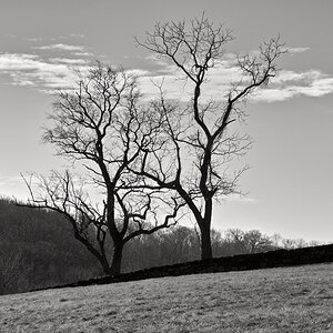 SDIM0437_BW.jpg