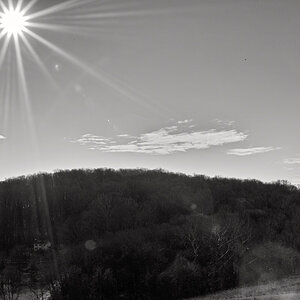 SDIM0440_BW_1.jpg