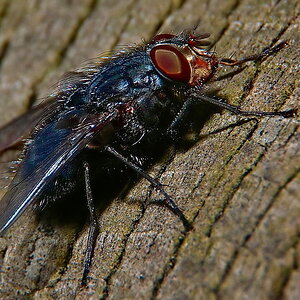 Sample 1.jpg
