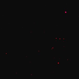SDIM1391s.jpg