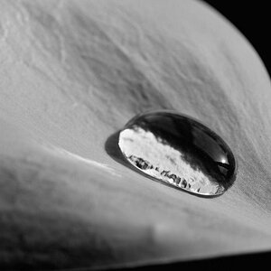 water beads 5.JPG
