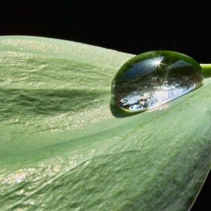 water beads color 3.JPG