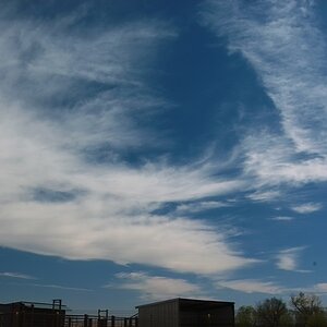 SDIM1545s.jpg
