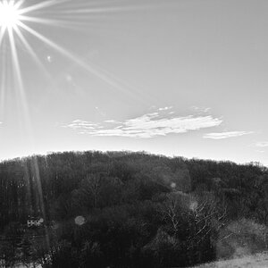 SDIM0440_BW_4.jpg