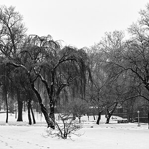 SDIM2299_auto_BW.jpg
