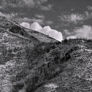 WasatchFoothills1.jpg