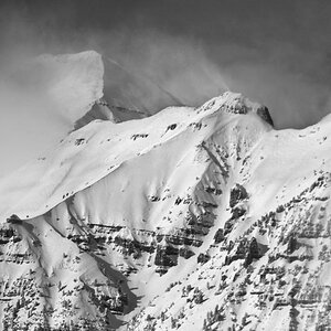 Timp02BWs.jpg