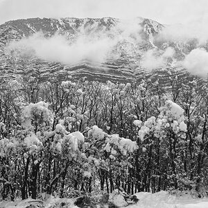 SDIM0739-bw-s.jpg