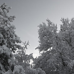 SDIM0678-bw-s.jpg
