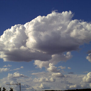 IMG03253.jpg