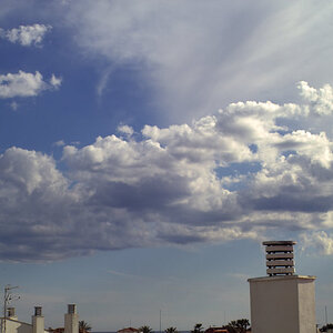 IMG03255.jpg
