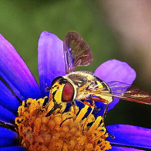 Sample 1.jpg