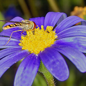 Sample 4.jpg