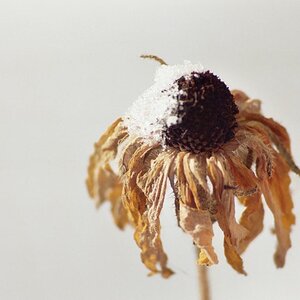 703004.JPG