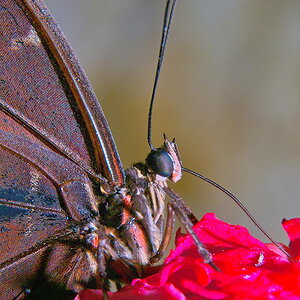 Sample 36.jpg