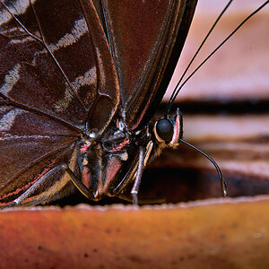Sample 32.jpg