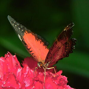 Sample 44.jpg