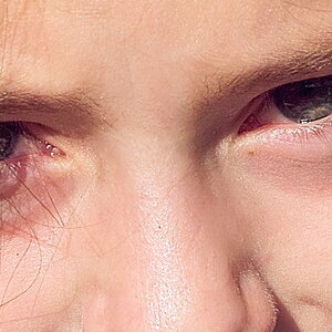 crop.jpg